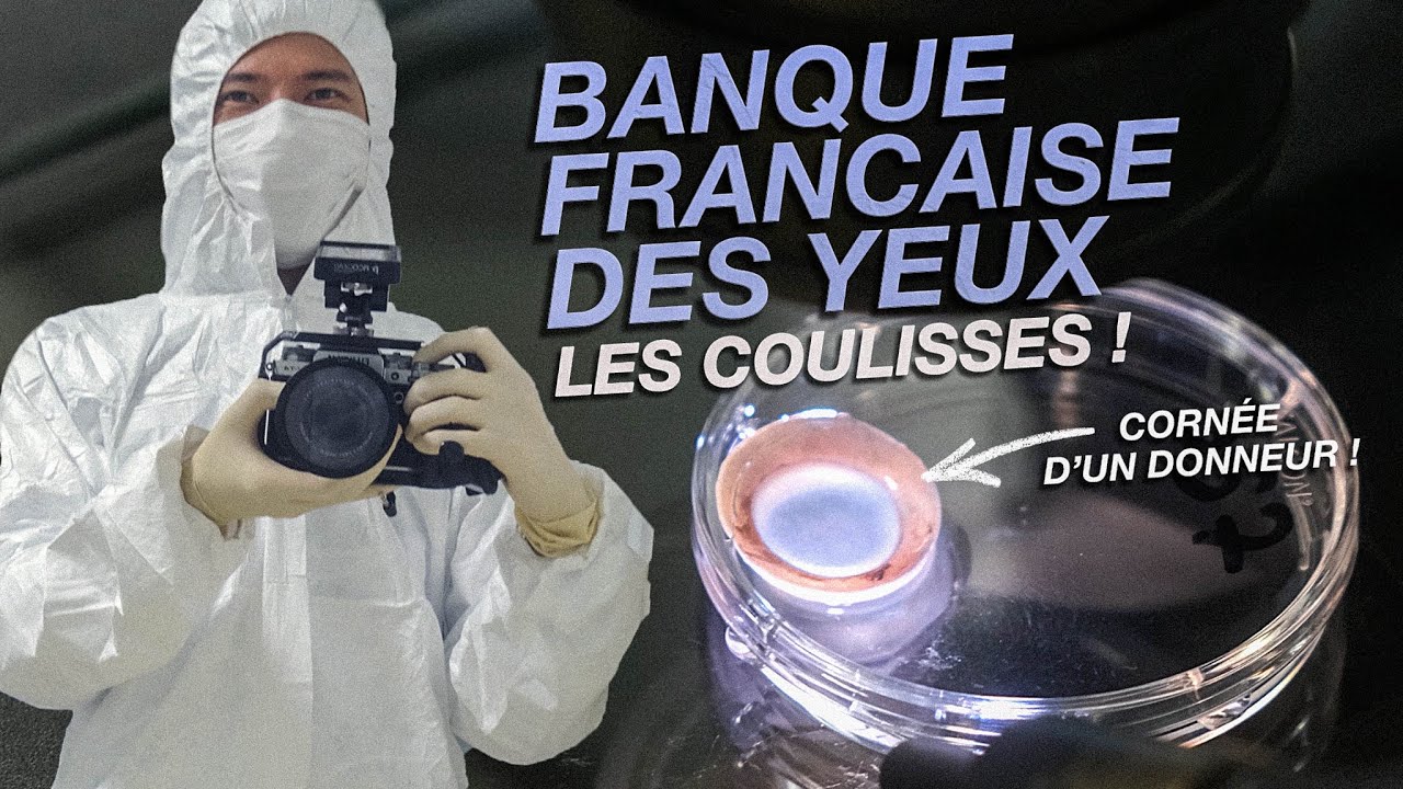 Les coulisses de la Banque…